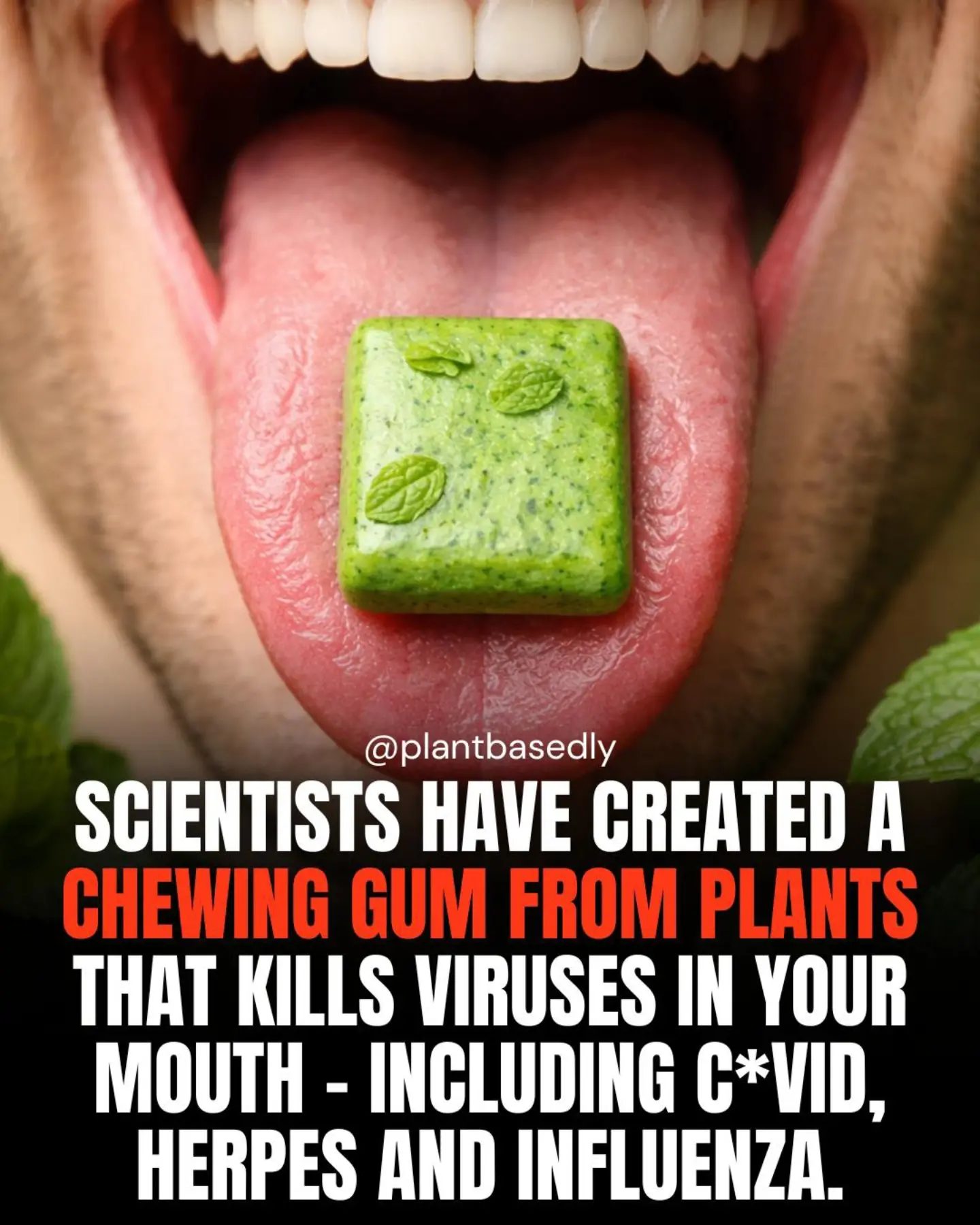 Plant-Based Gum: Killing Viruses In The Mouth