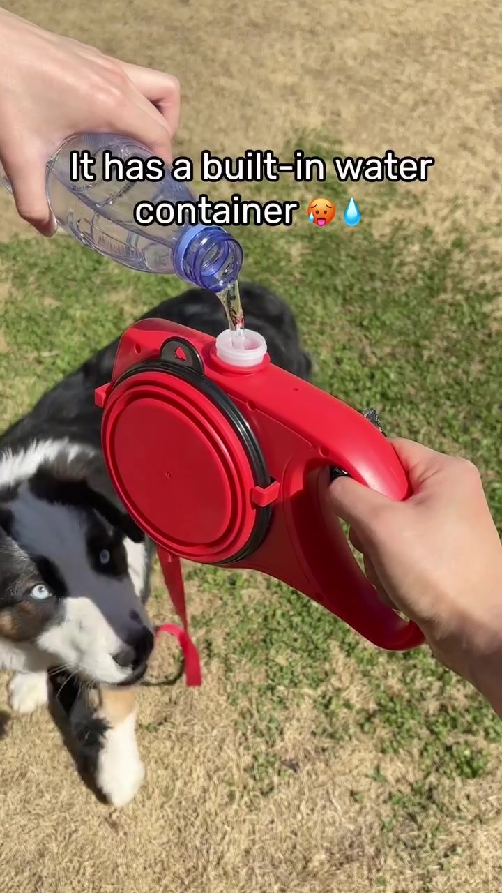 3-in-1 Dog Leash: Hydrate Your Pup on Walks