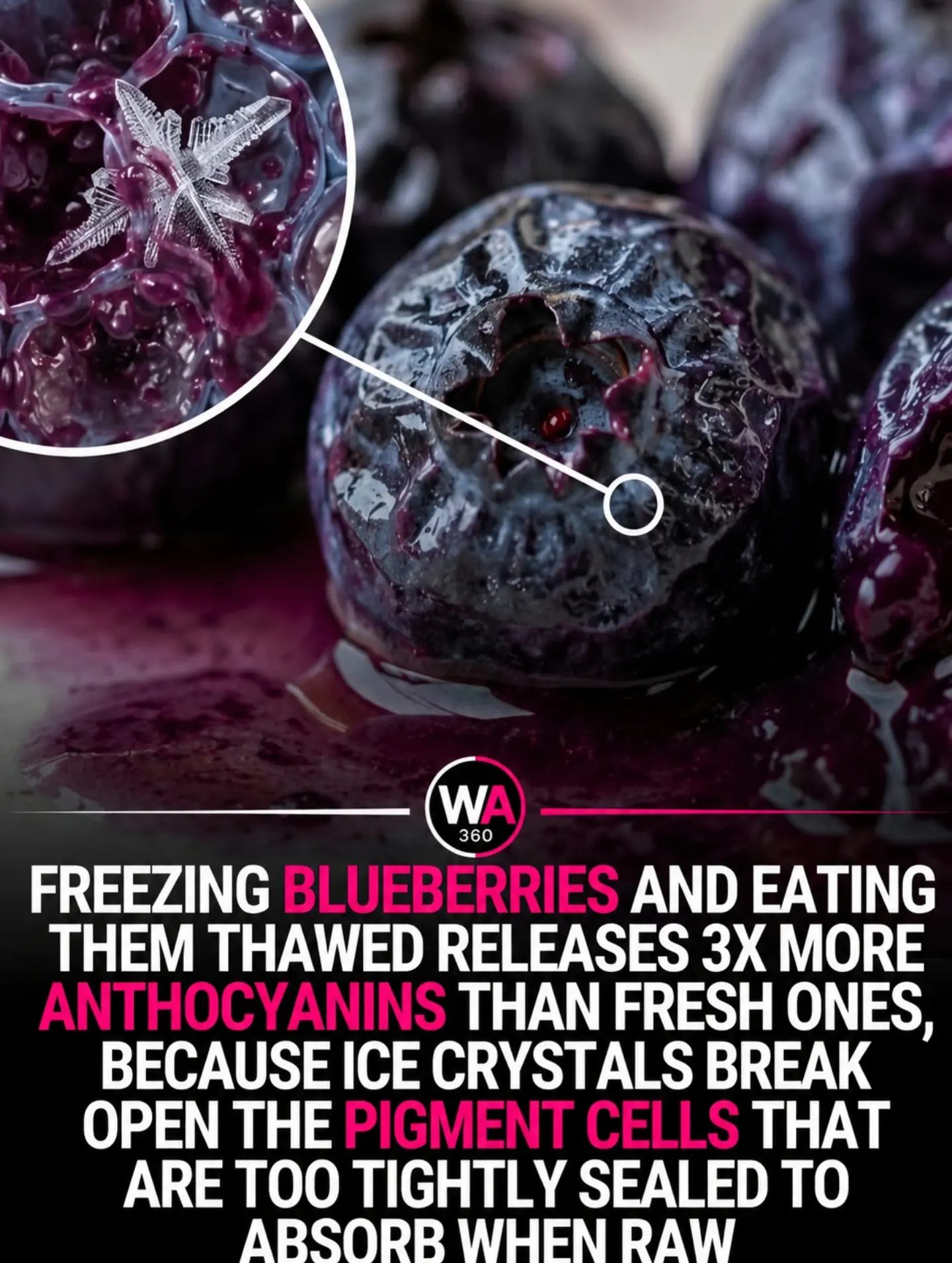 The Science of Freezing: 3 Foods with Hidden Health Benefits