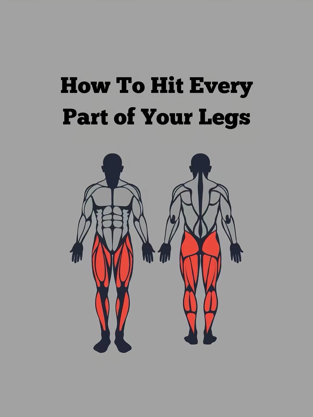 Master Leg Workout: Target Every Muscle for Strength and Growth