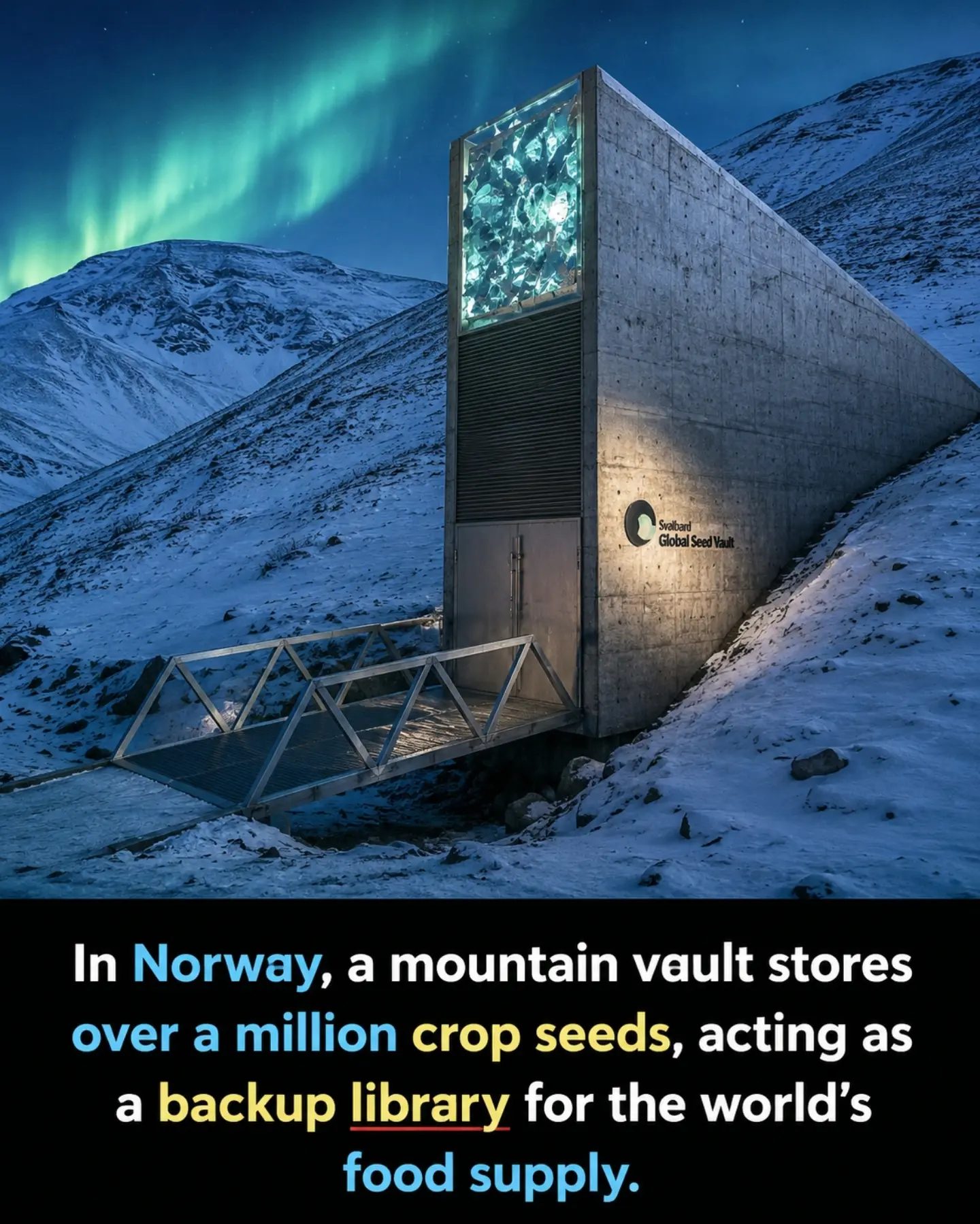 Exploring the Svalbard Global Seed Vault: Nature's Food Vault