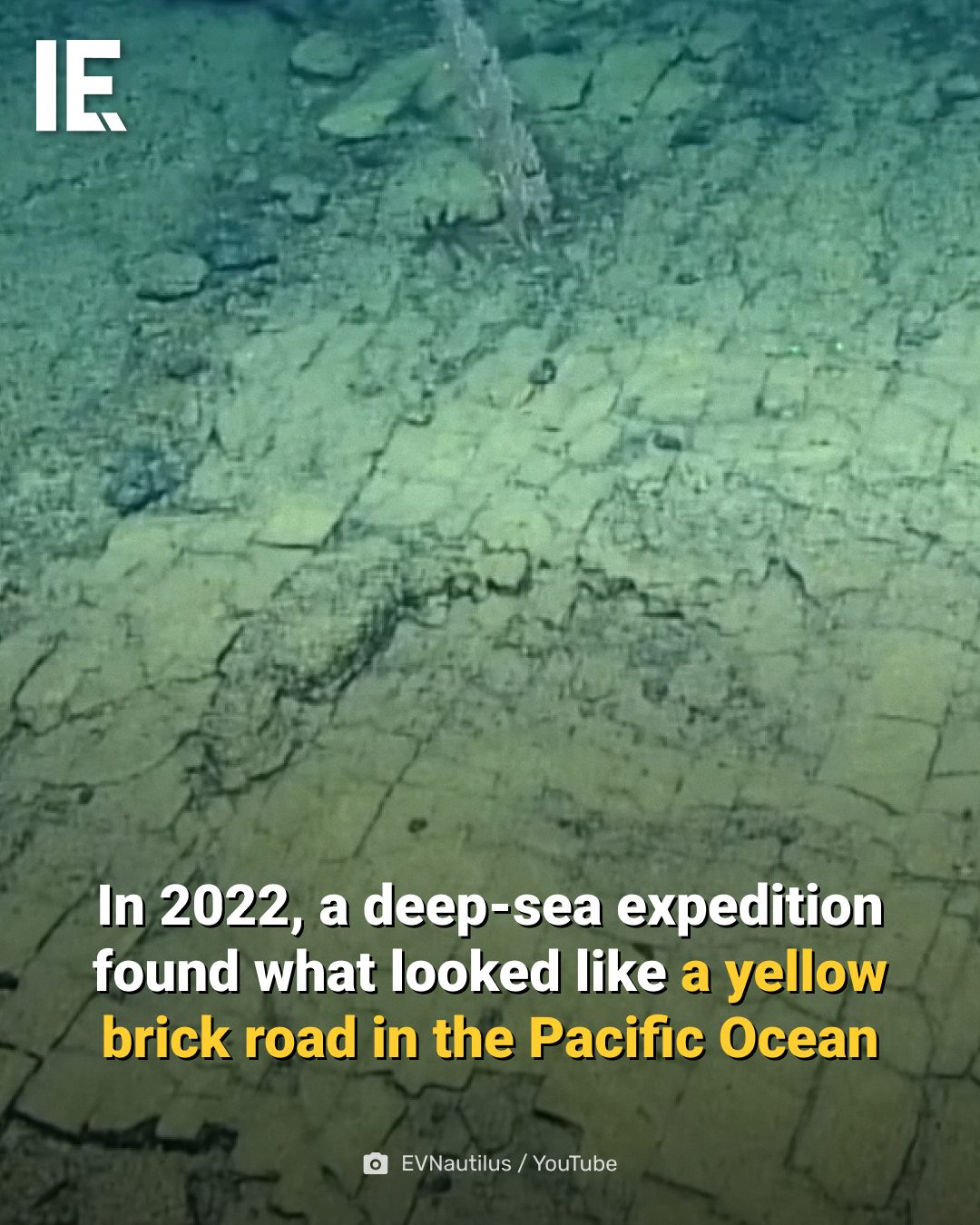 Yellow Brick Road of the Pacific: 2022 Deep-Sea Discovery