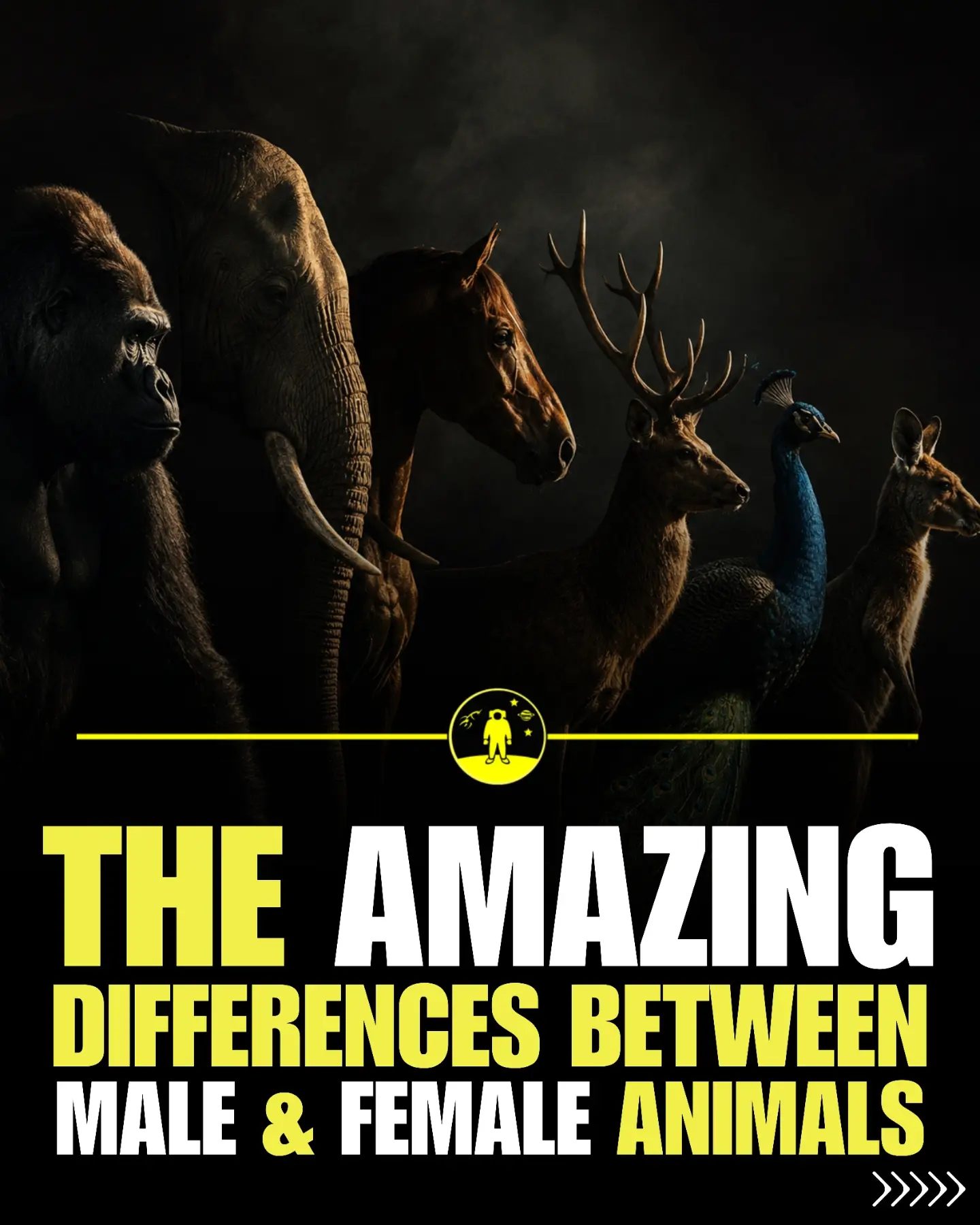 Amazing Differences Between Male and Female Animals