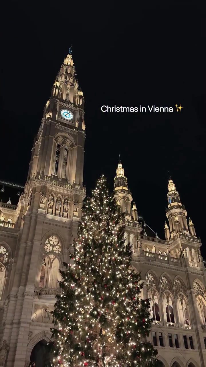 Explore Vienna's Enchanting Christmas Markets