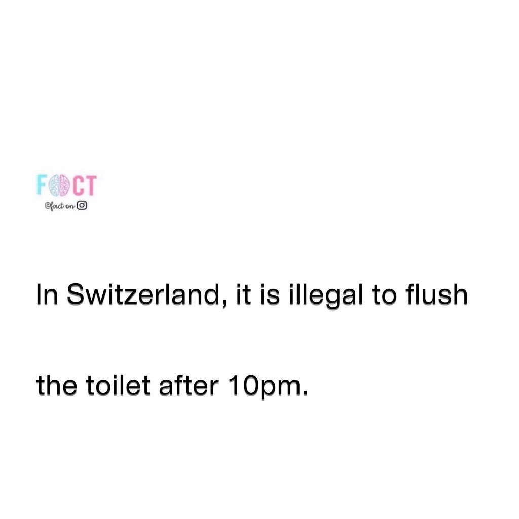 Switzerland's Unique Law: No Toilet Flushing After 10 PM