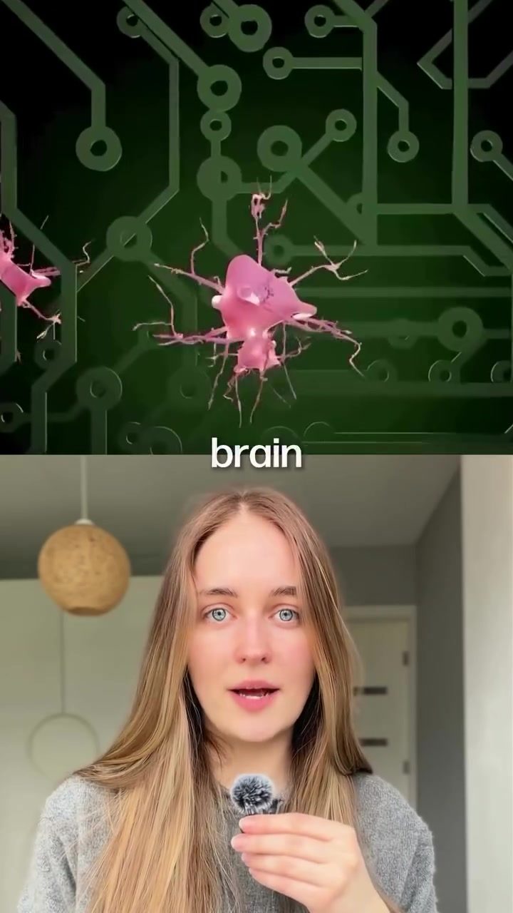 Brain Cells Learn to Play Pong on a Chip