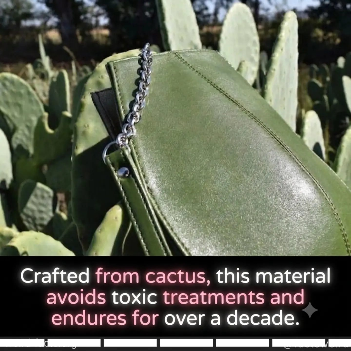 Cactus Leather: The Sustainable Fashion Revolution