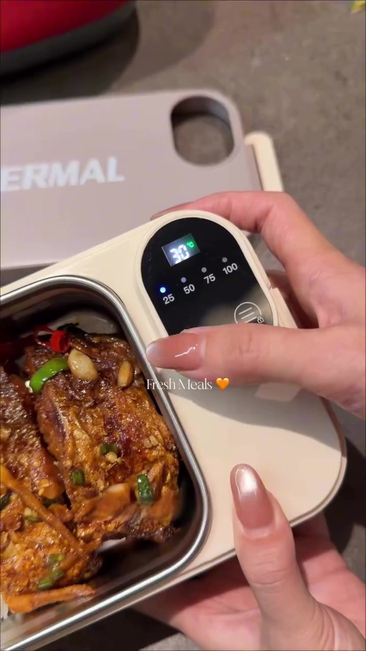 THERMAL Electric Lunchbox: Warm Meals On-The-Go