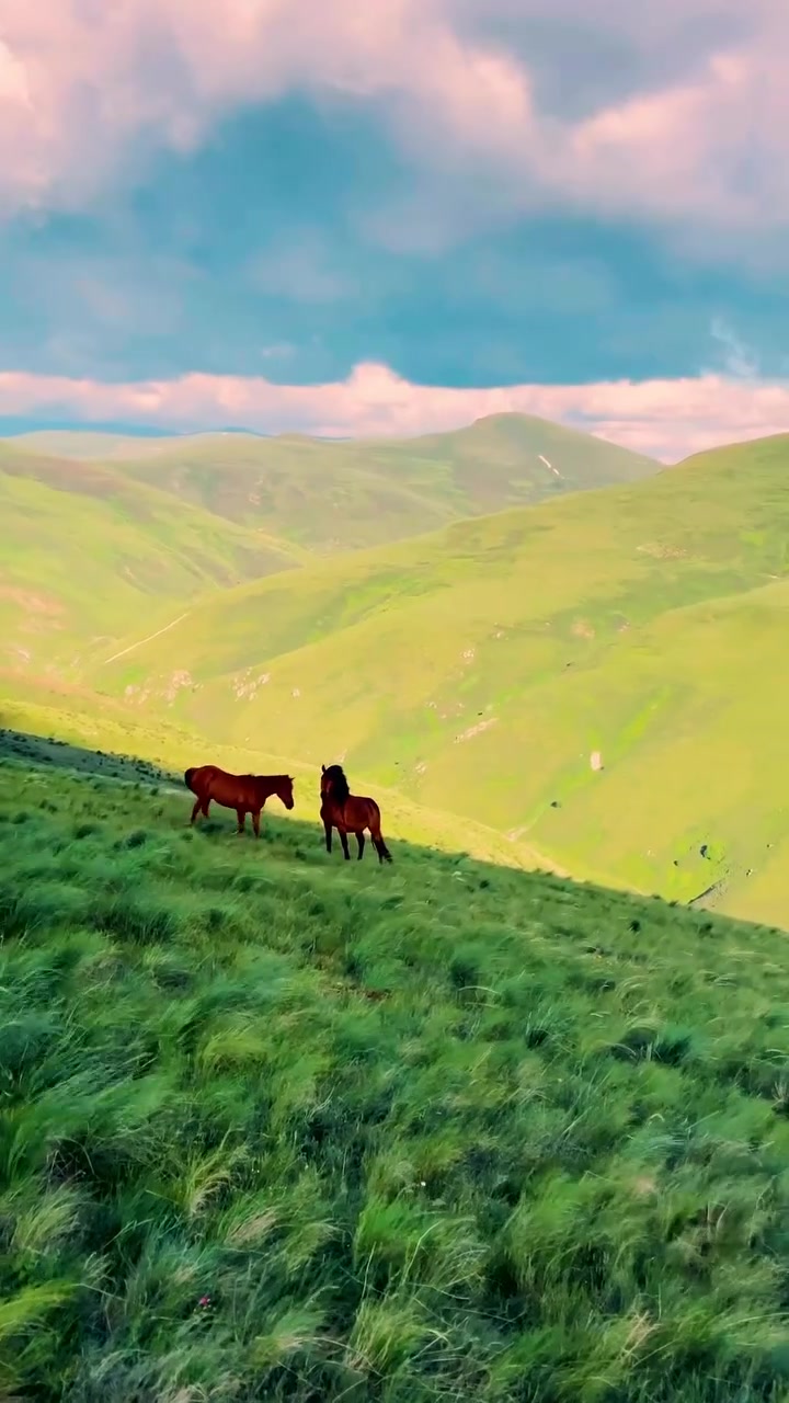 Horses Grazing in a Scenic Landscape