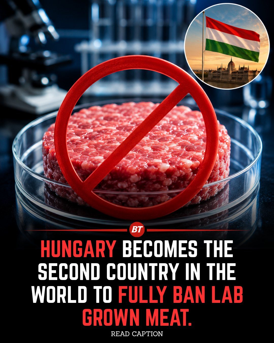 Hungary Bans Lab-Grown Meat: What You Need to Know