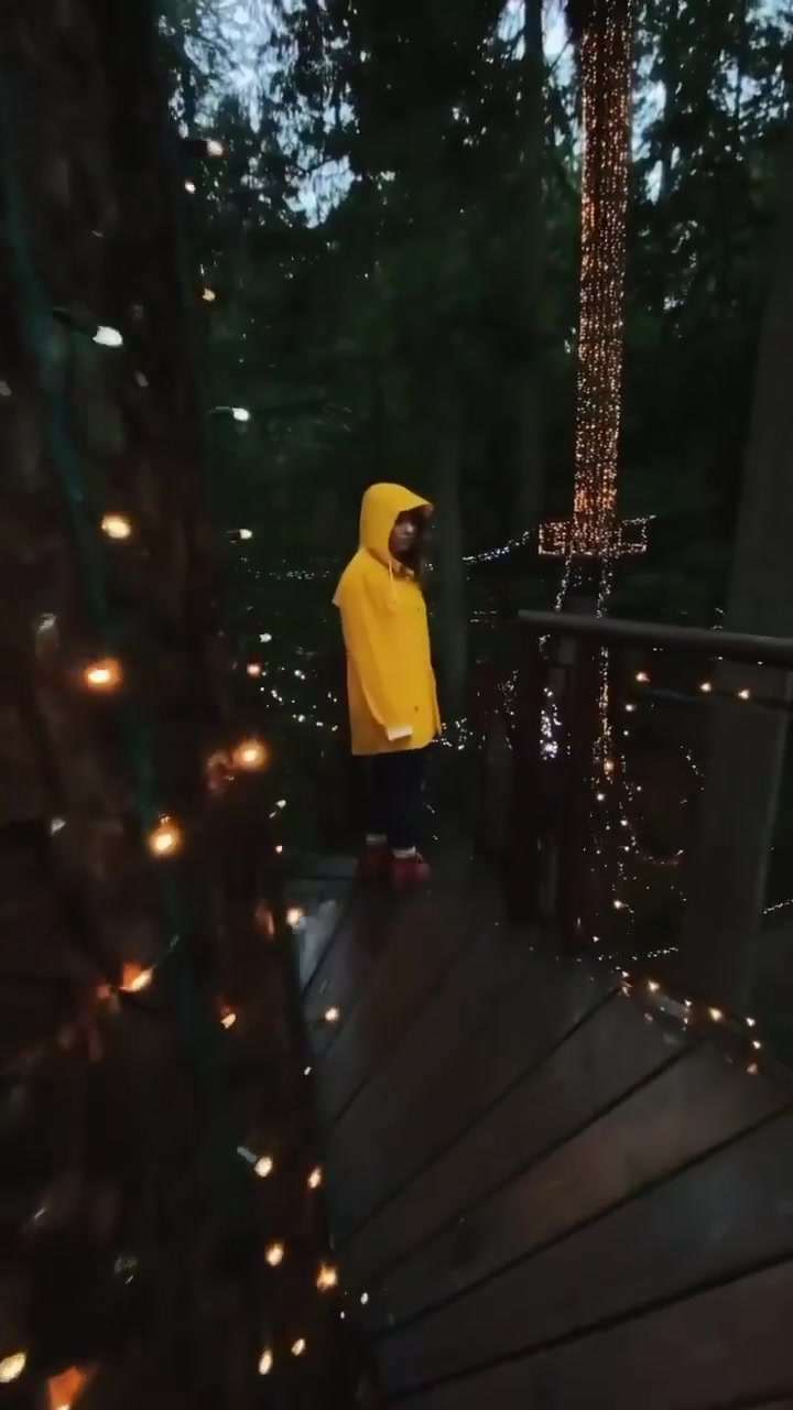 Capilano Suspension Bridge: Rainy Walk in BC, Canada