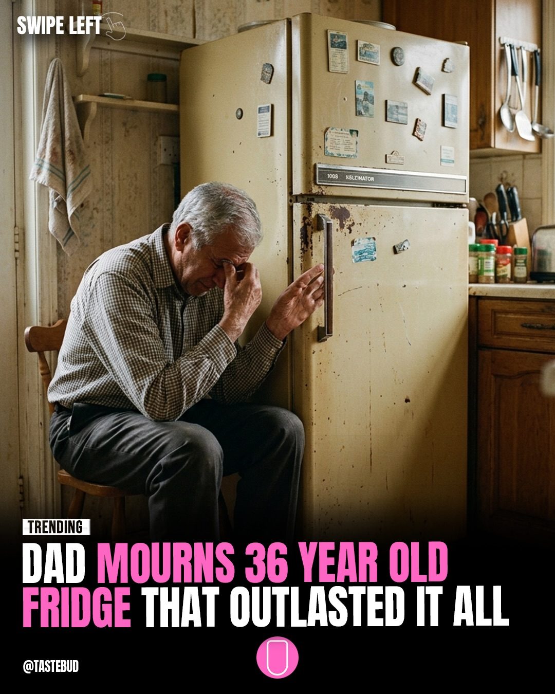 Man Mourns 36-Year-Old Fridge's Passing