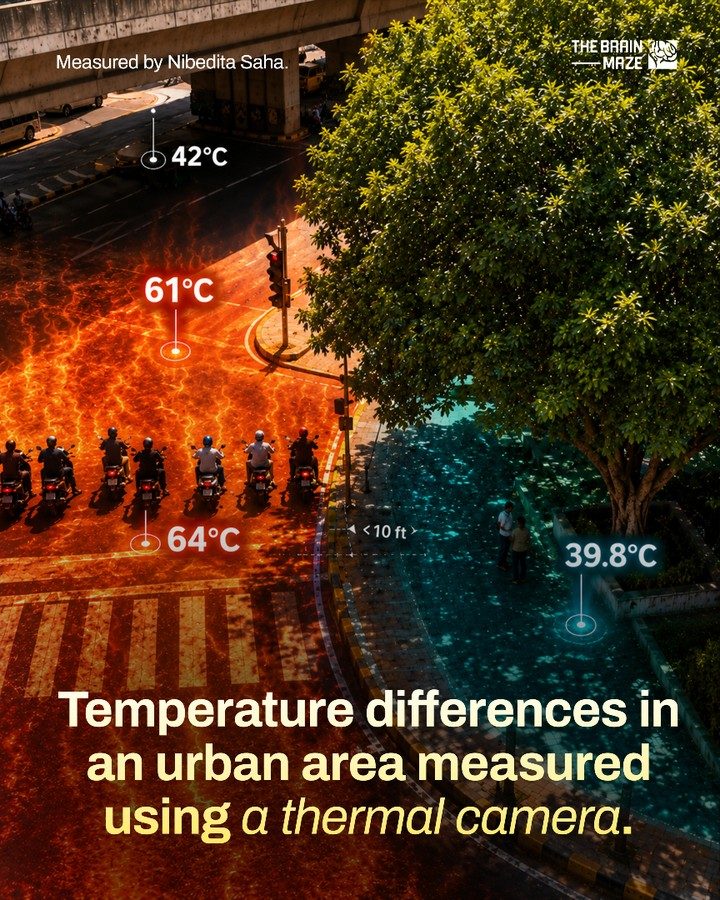 Knowing how to use a thermal camera in an urban area.