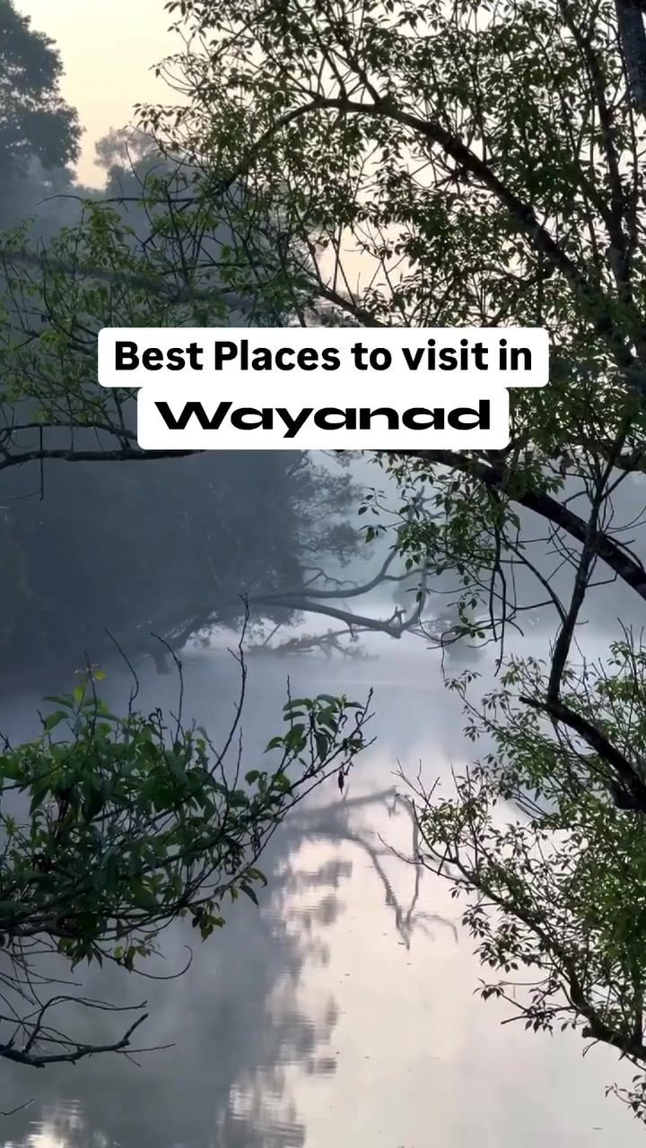 Wayanad's Must-See: Soochipara Falls & Pookode Lake