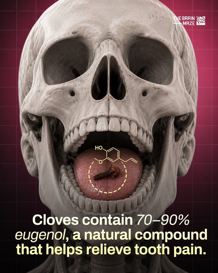 Cloves: A Natural Tooth Pain Remedy