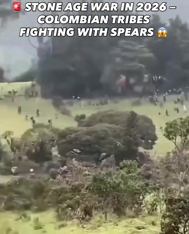 Stone Age War: Colombian Tribes' Modern Land Battle