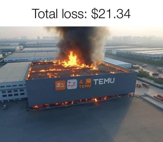 TEMU Financial Loss Meme Explained