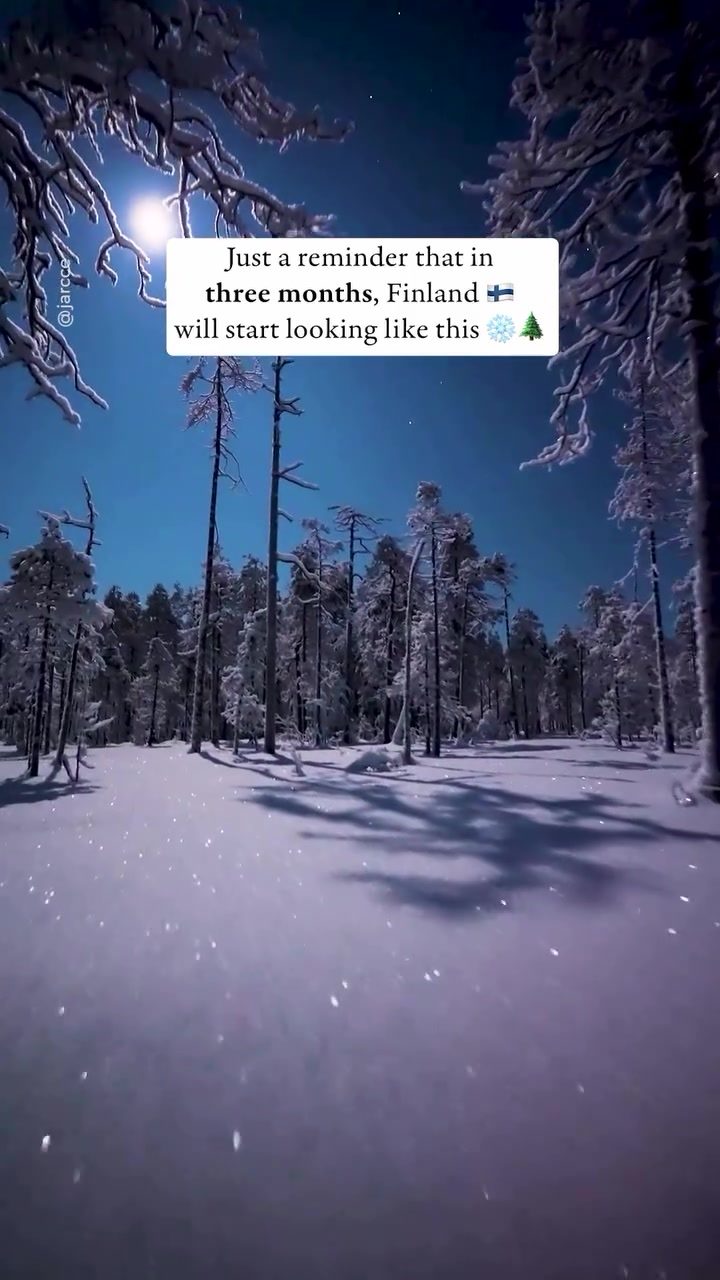 Experience Finland's Winter Wonderland