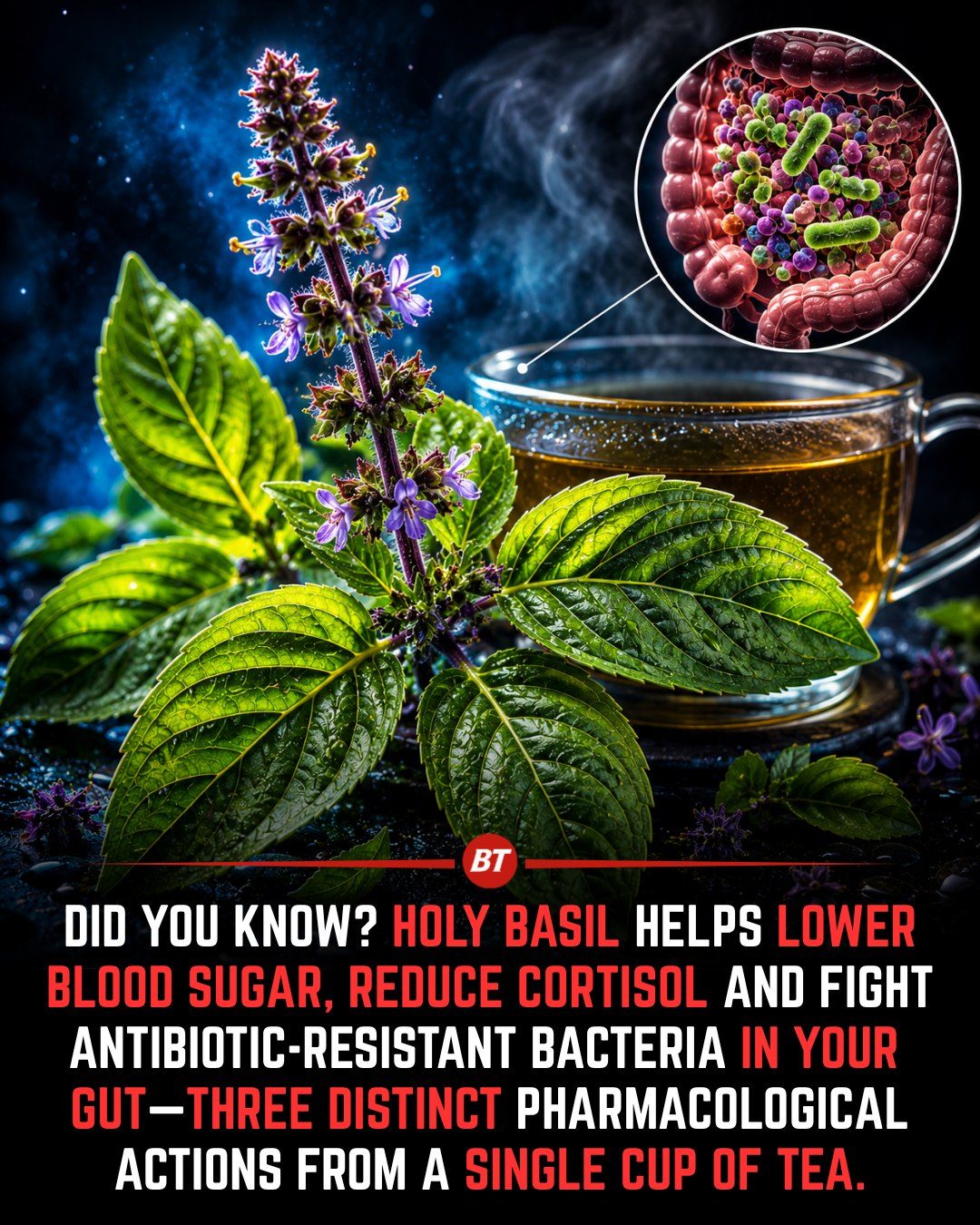 Explore Holy Basil Tea: Benefits for Blood Sugar, Stress, and More