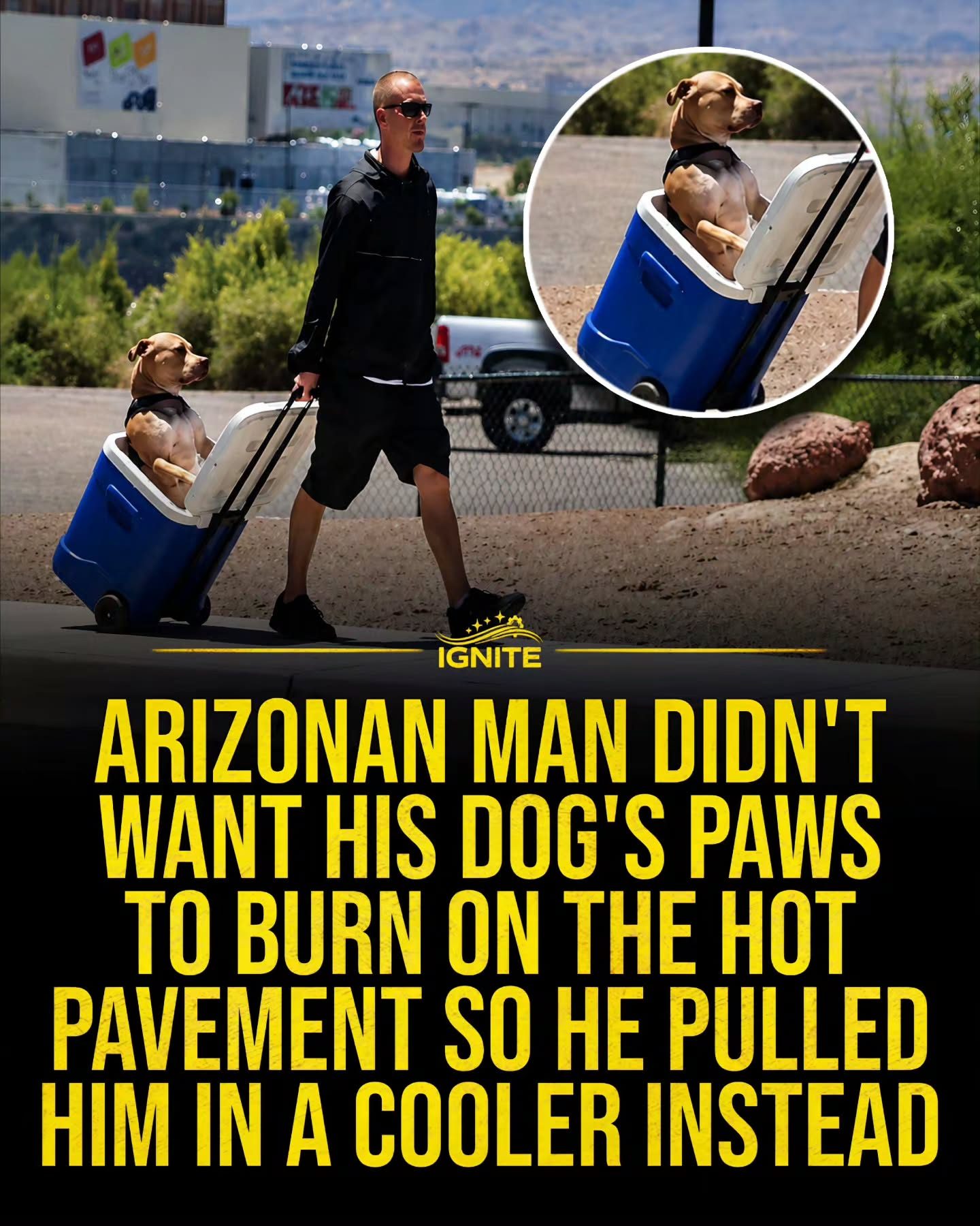 Man Protects Dog's Paws with Cooler in Hot Arizona