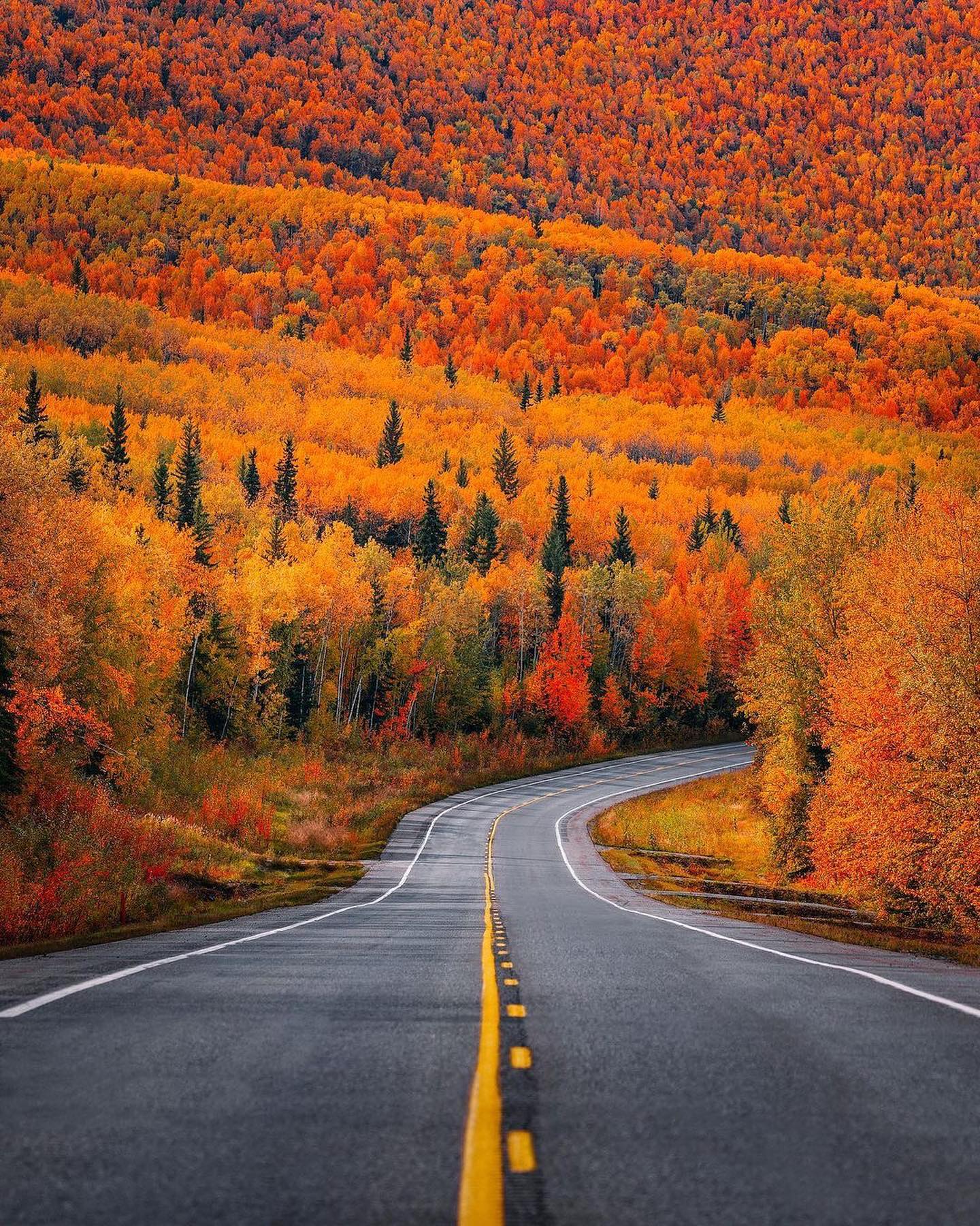 Autumn Foliage Road Trip Scenery