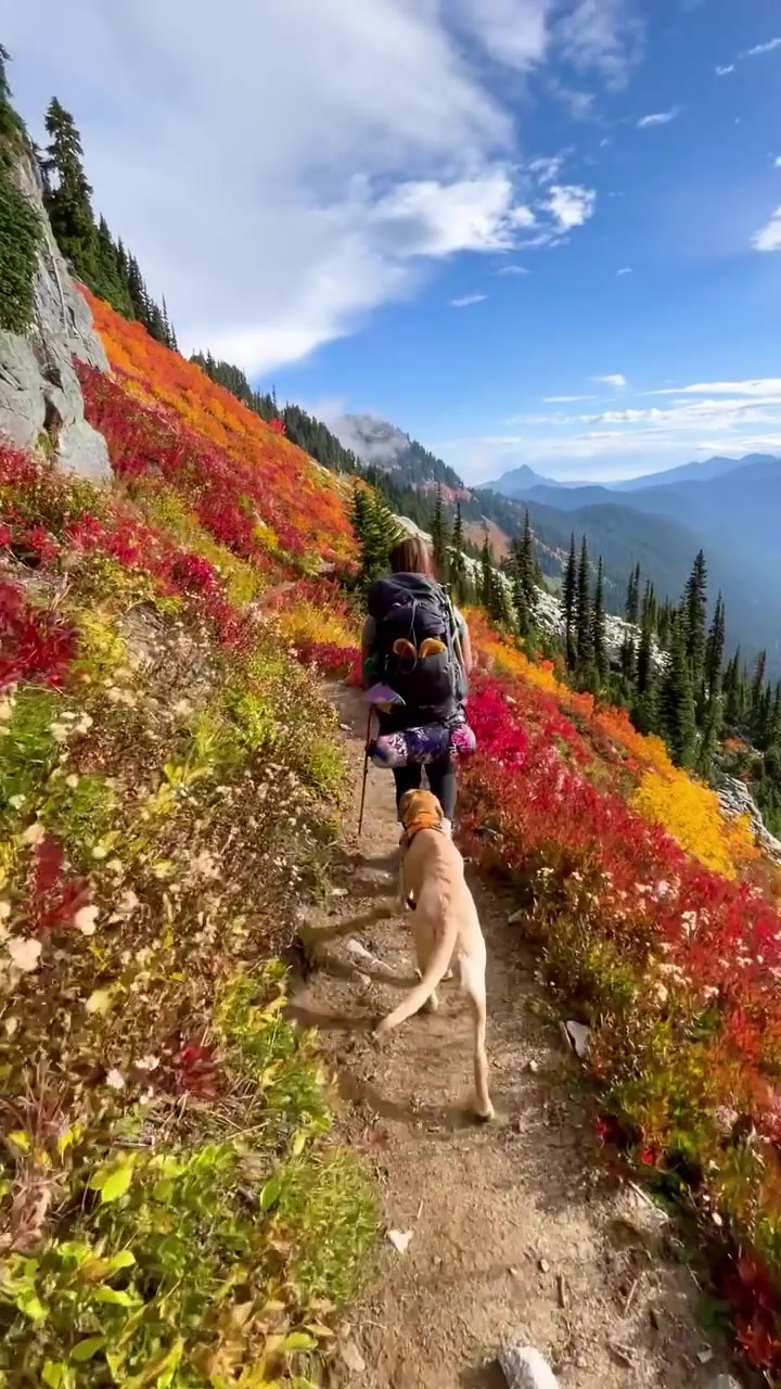 Autumn Hiking with Dog: Mountain Trail Beauty