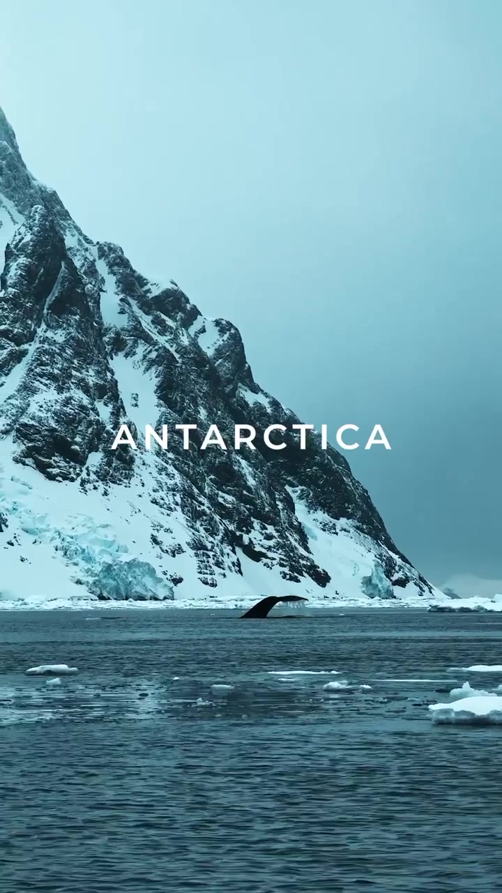 Antarctica's Icy Landscapes and Wildlife