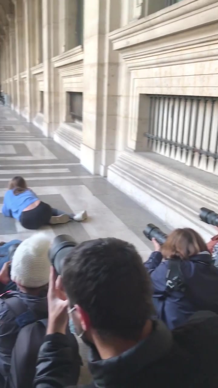 Dog Photoshoot at Louvre Museum
