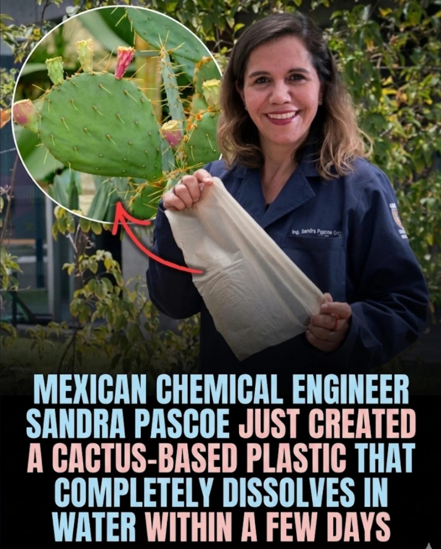 Mexican Engineer Innovates Cactus Plastic for Eco-Friendly Packaging