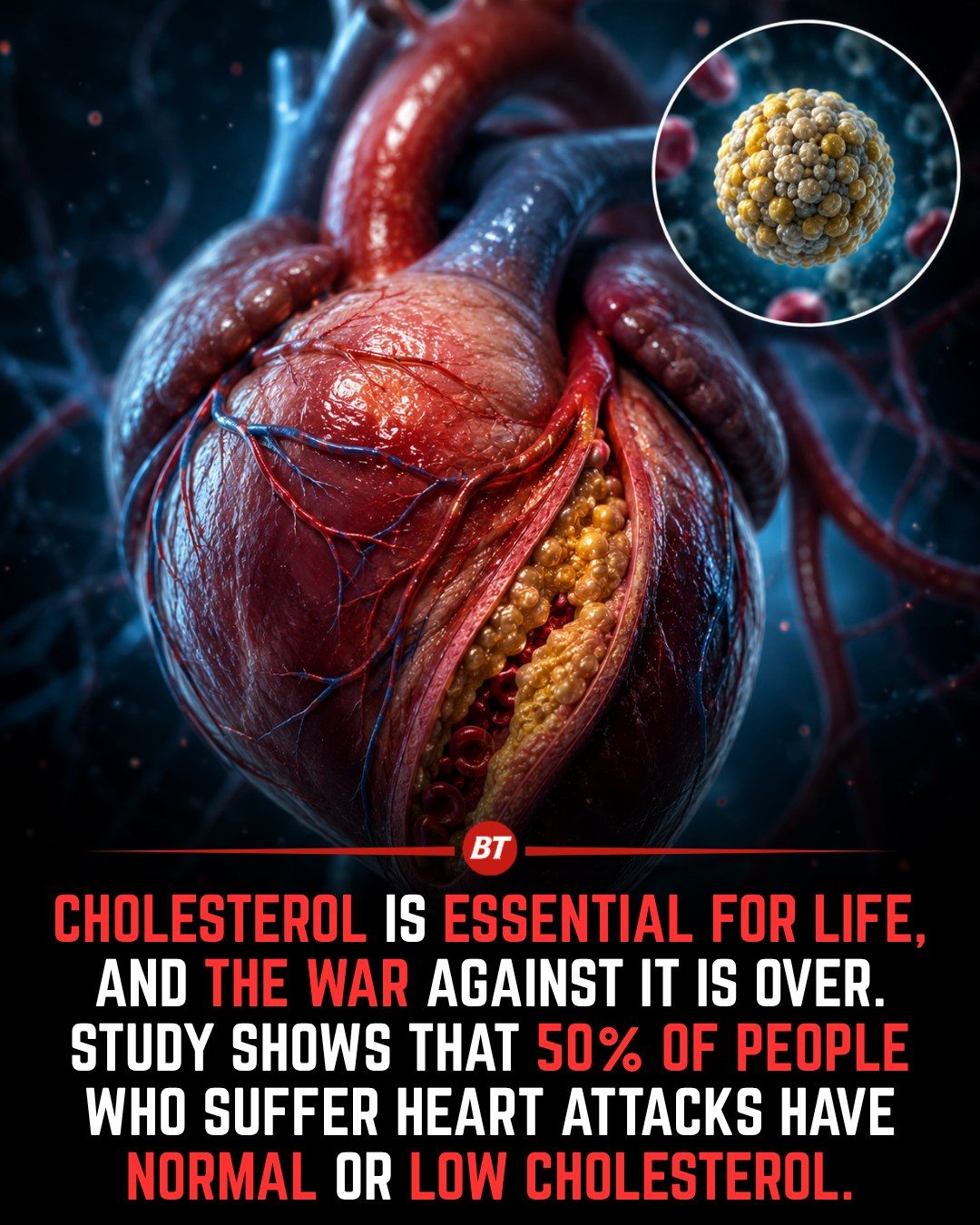 Cholesterol's Role in Life and Heart Health