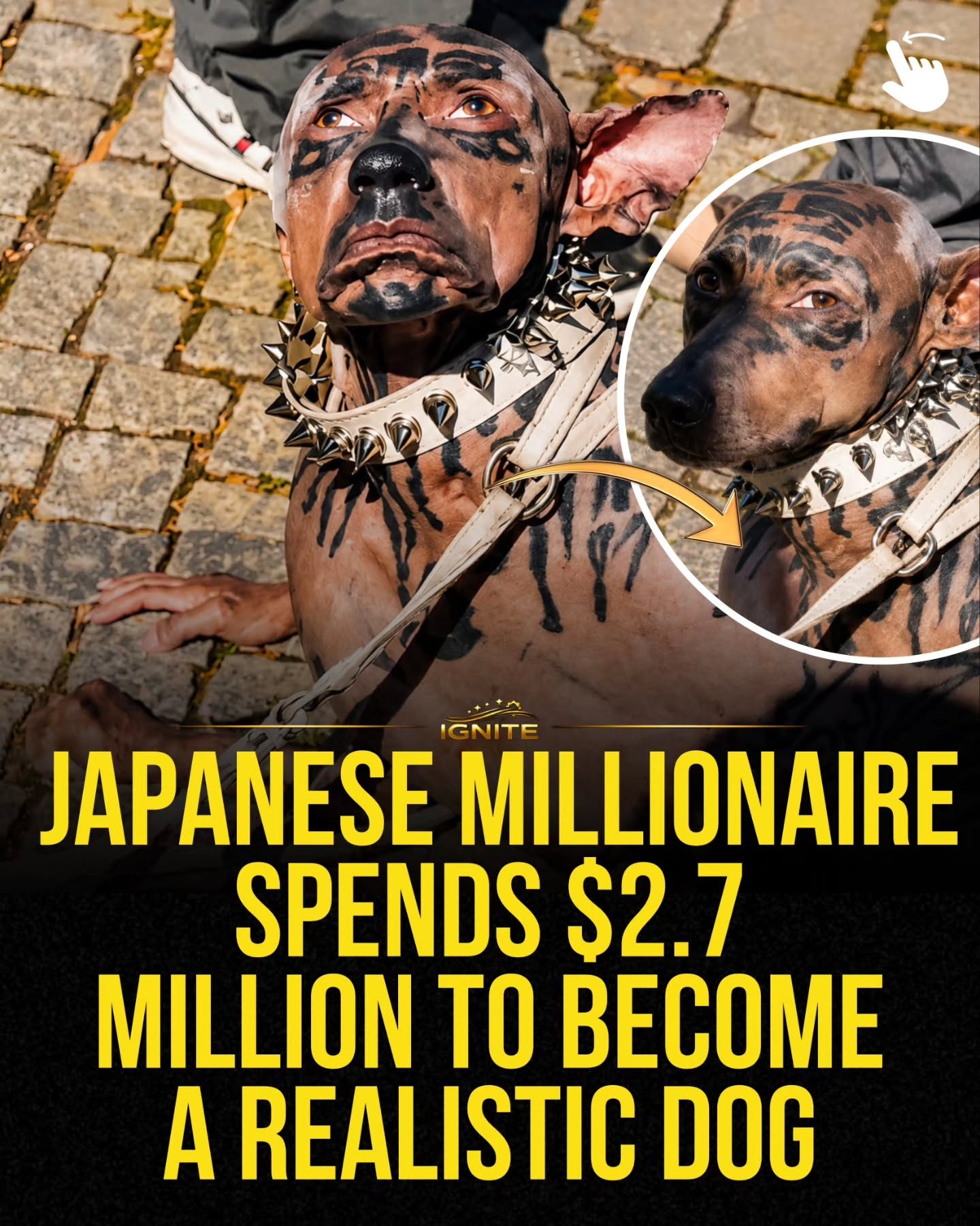 Japanese Millionaire Spending $2.7 Million to Become a Dog