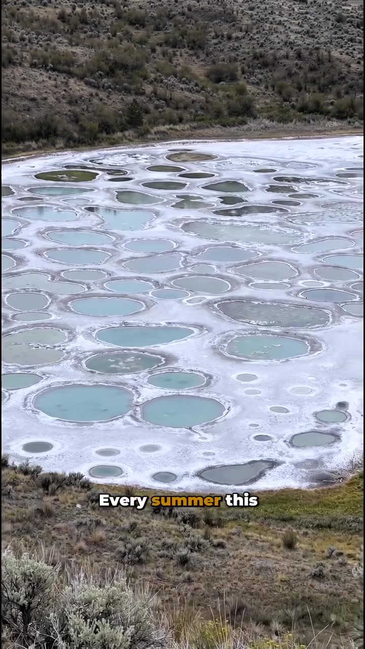 Okanagan Lake Mineral Deposits: Summer Transformation