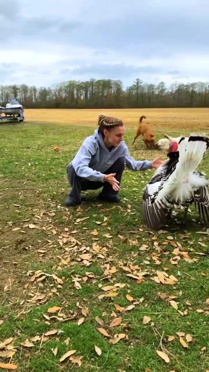 The Bloomin' Barnyard: Person Hugging Turkey