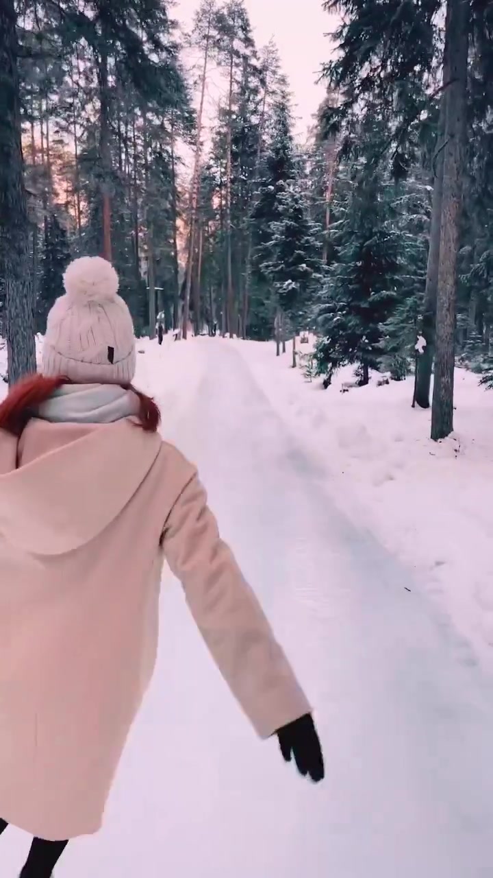 Ice Skating in a Snowy Forest