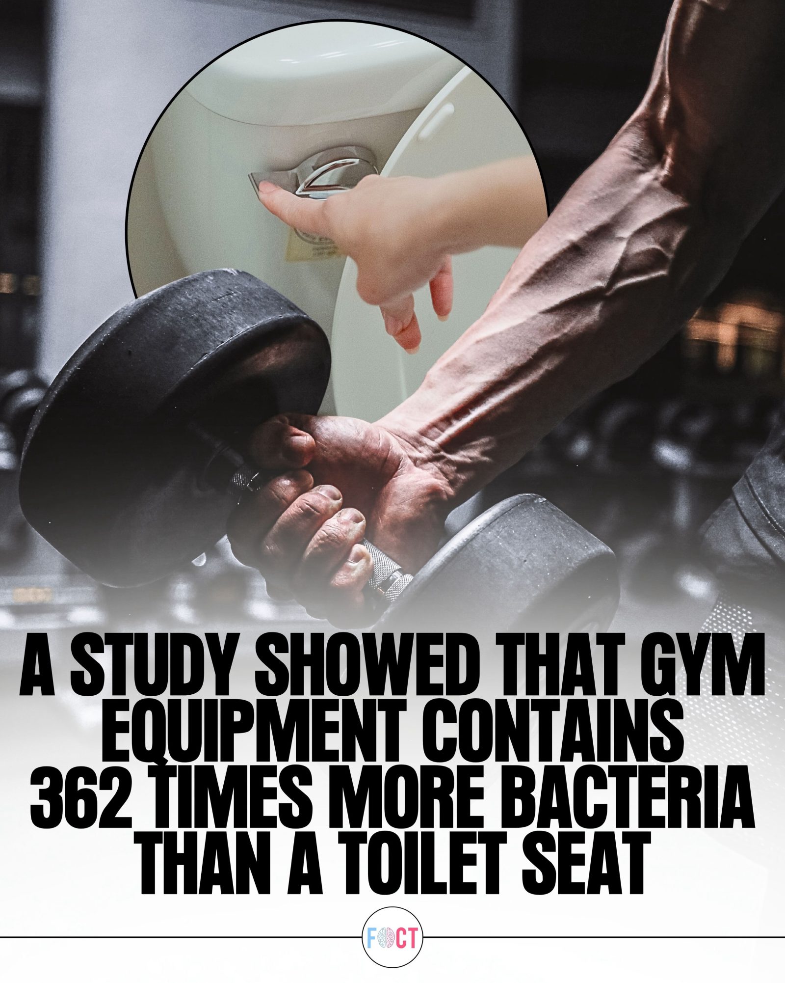 Gym Bacteria: Surprising Facts About Gym Equipment