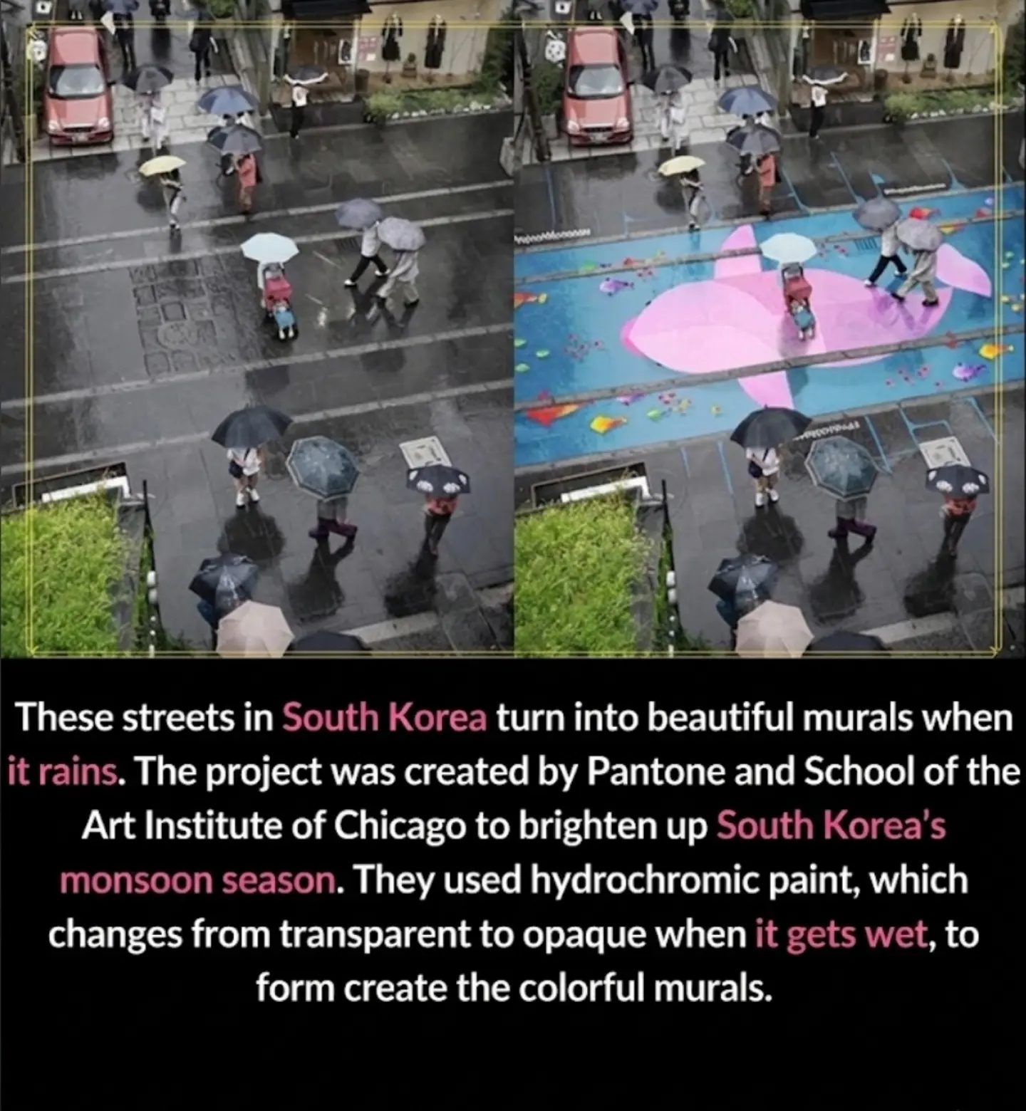 Seoul's Rainbow Streets: Monsoon Season Street Art