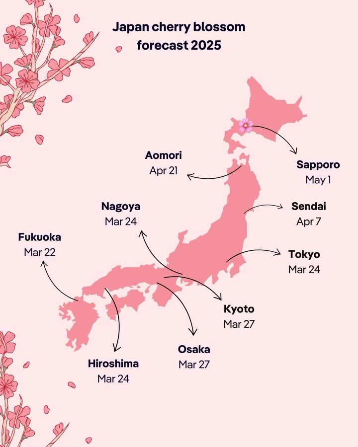 Japan Cherry Blossom 2025: Blooming Dates by City