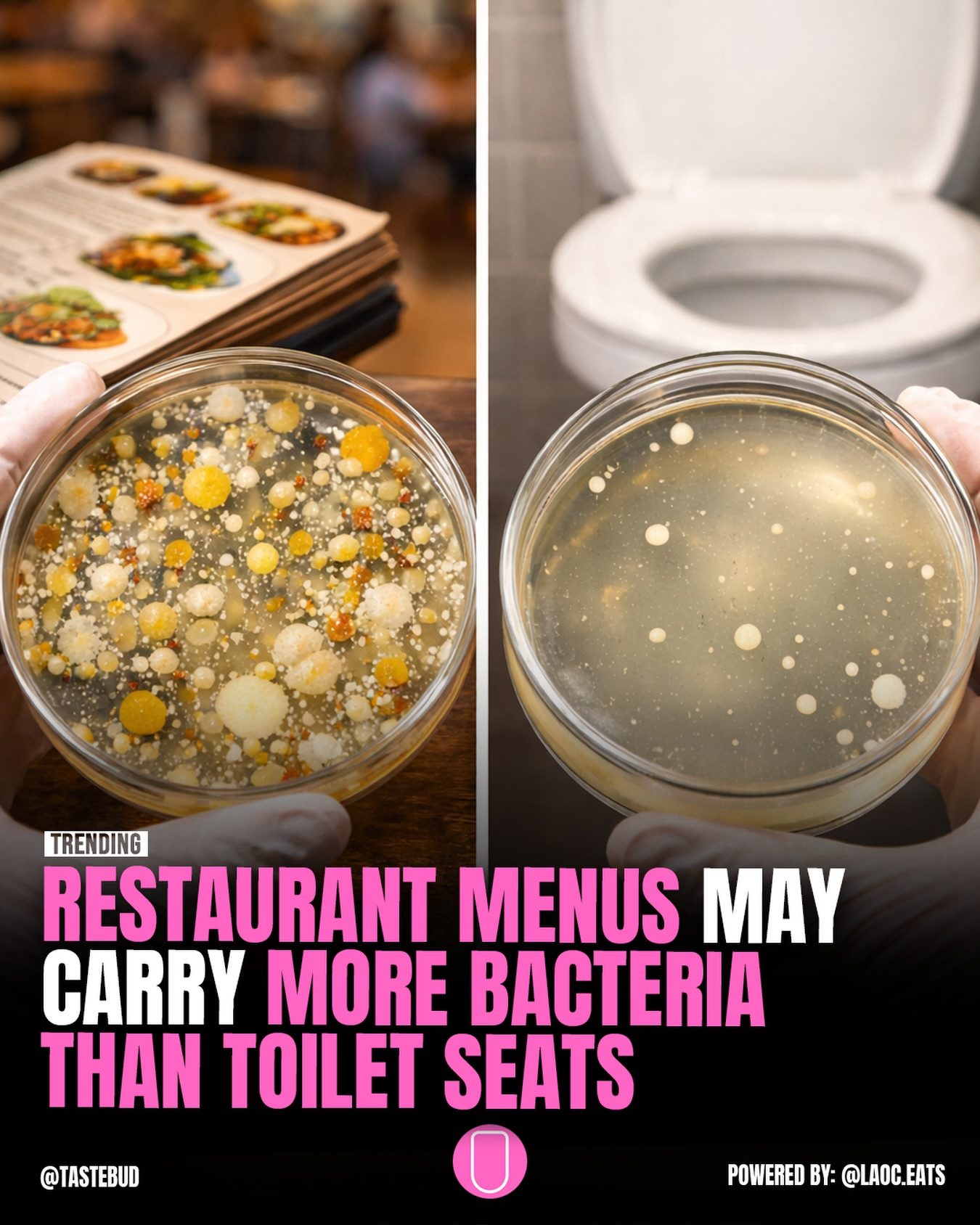 Surprising Truth: Restaurant Menus May Harbor More Bacteria Than Toilet Seats