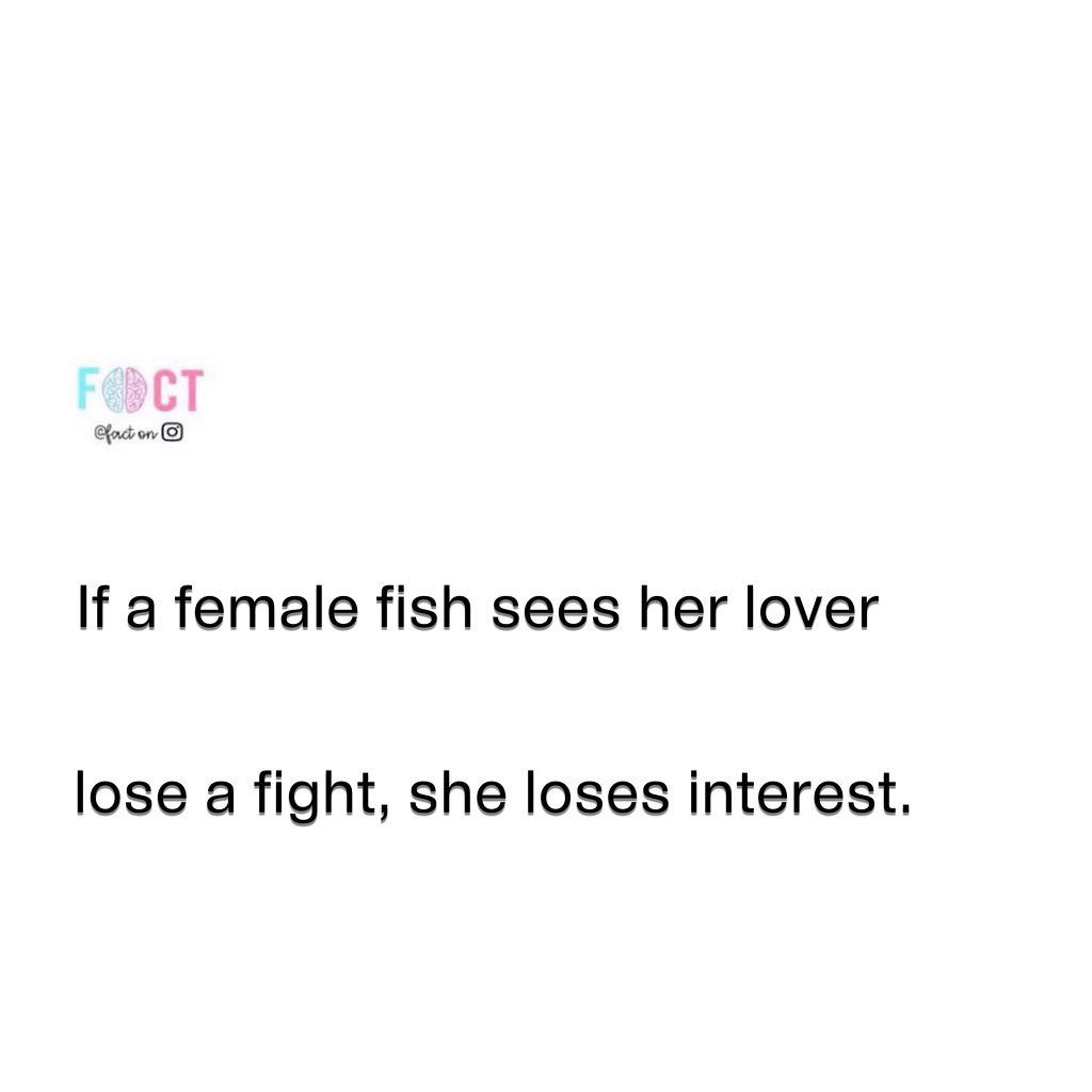 Fish Mate Selection: How Losing a Fight Can Affect Love