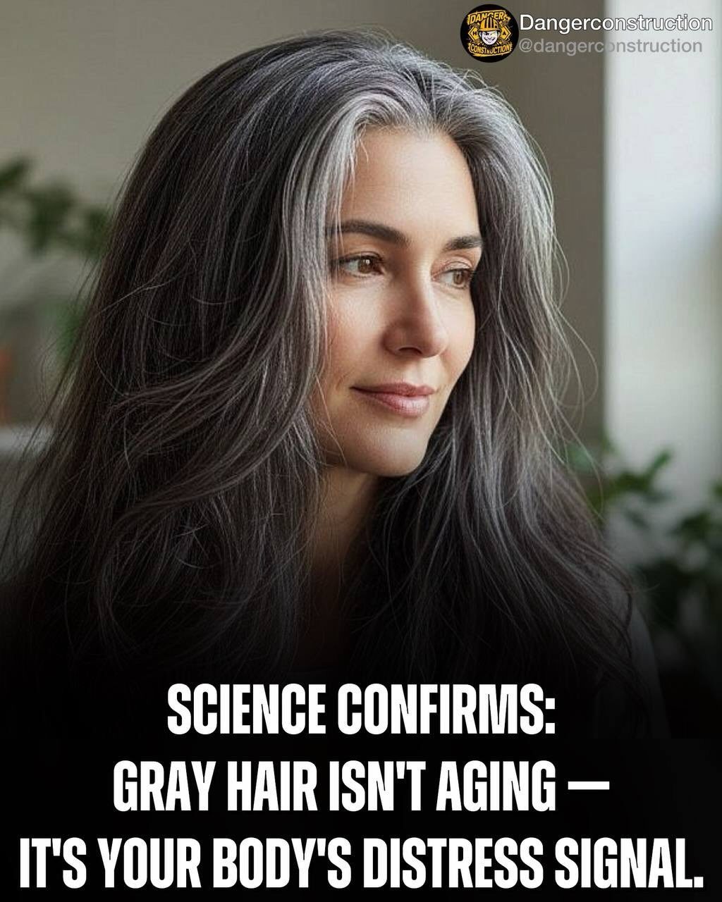 Gray Hair: Your Body's Health Distress Signal