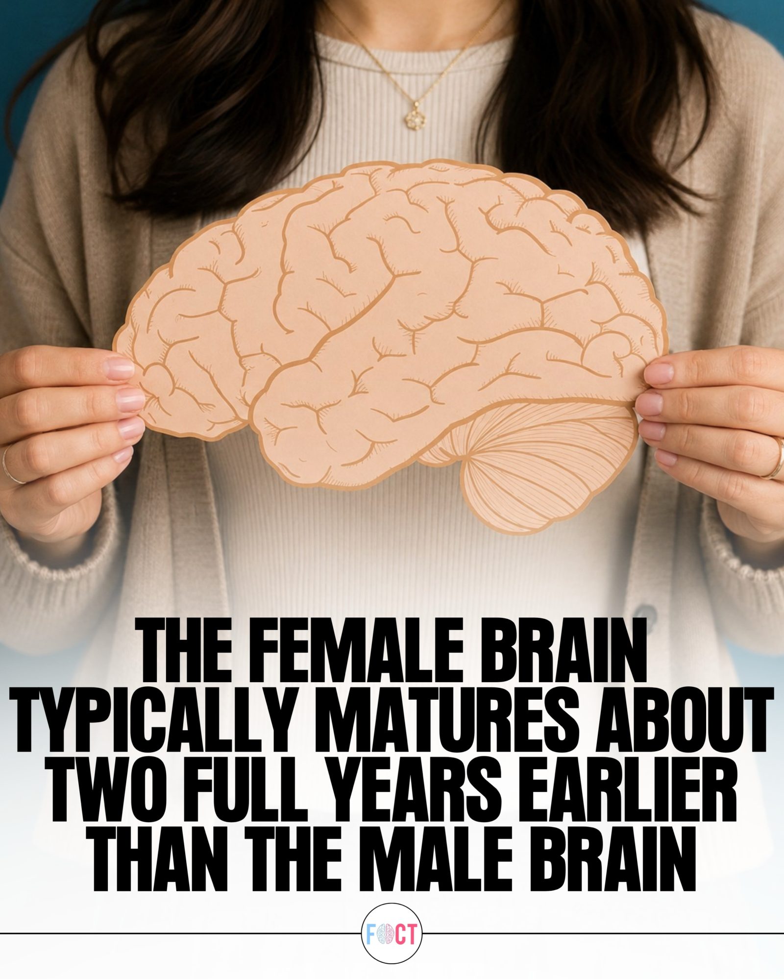 Brain Maturation: How Female and Male Brains Differ by FOCCT