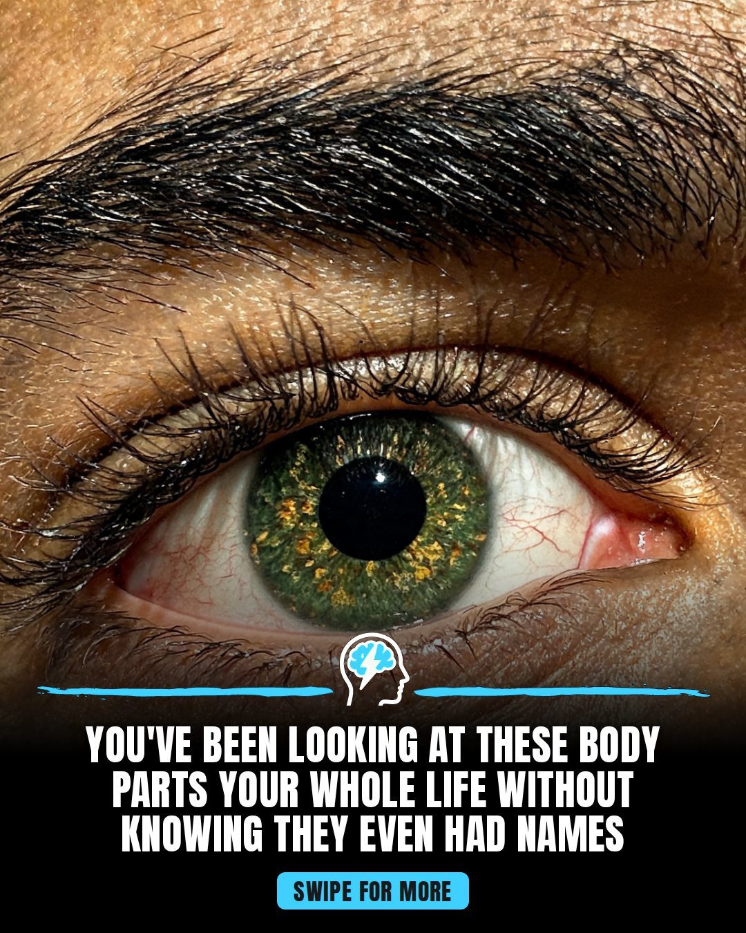 Discover Little-Known Names for Everyday Body Parts