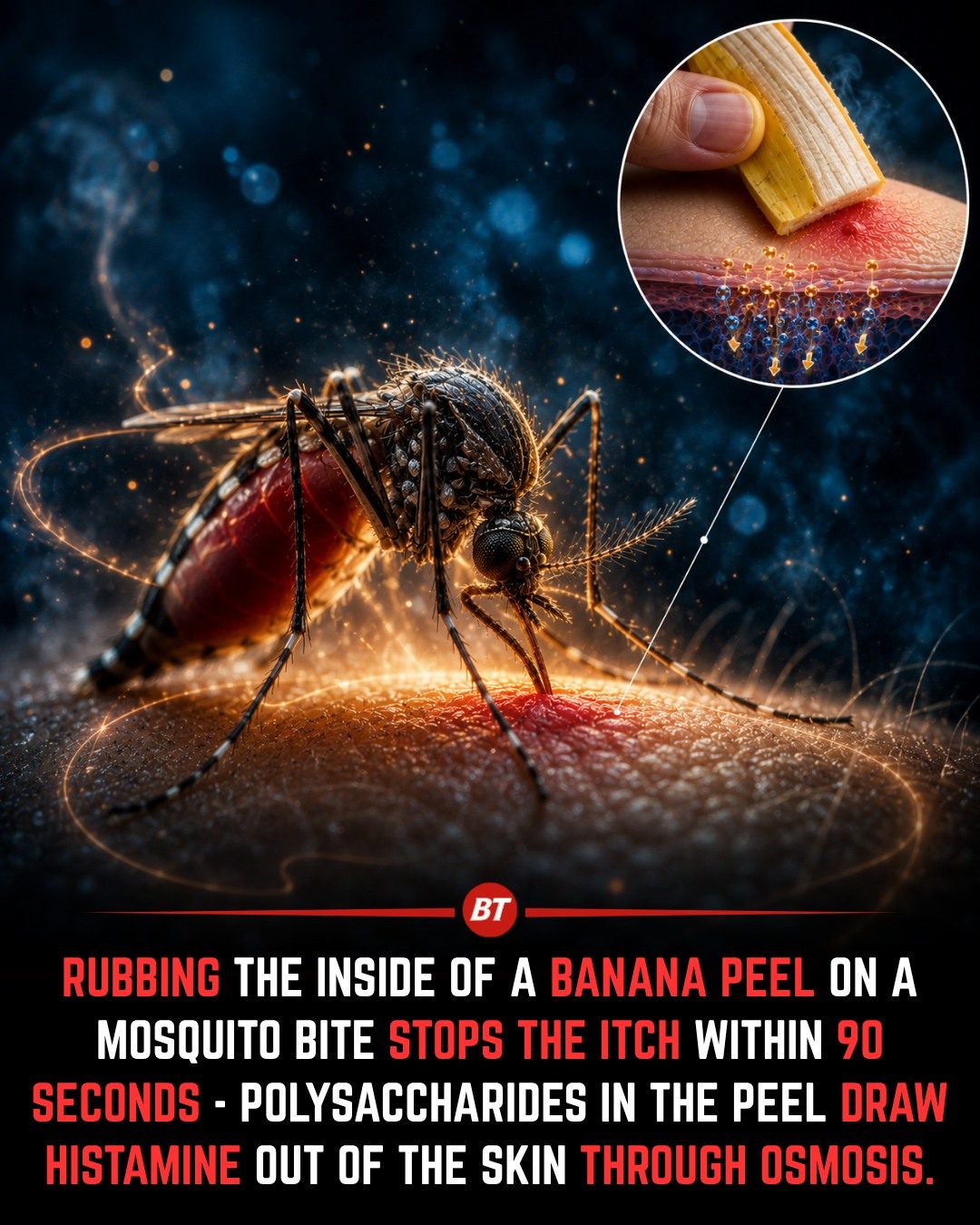 Natural Mosquito Bite Relief: Banana Peel Trick