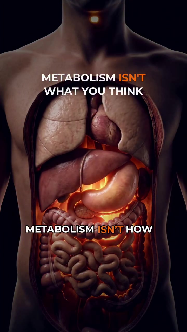 Metabolism: What It Is and How It Works