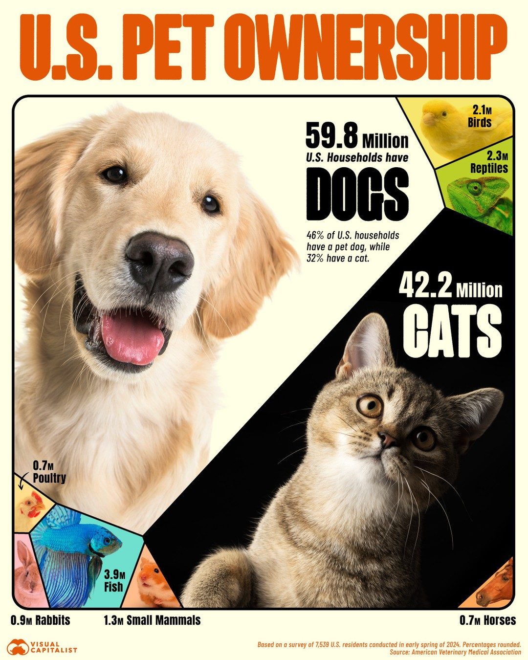U.S. Pet Ownership Trends 2024: Top Pets, Dogs, and Cats Dominate