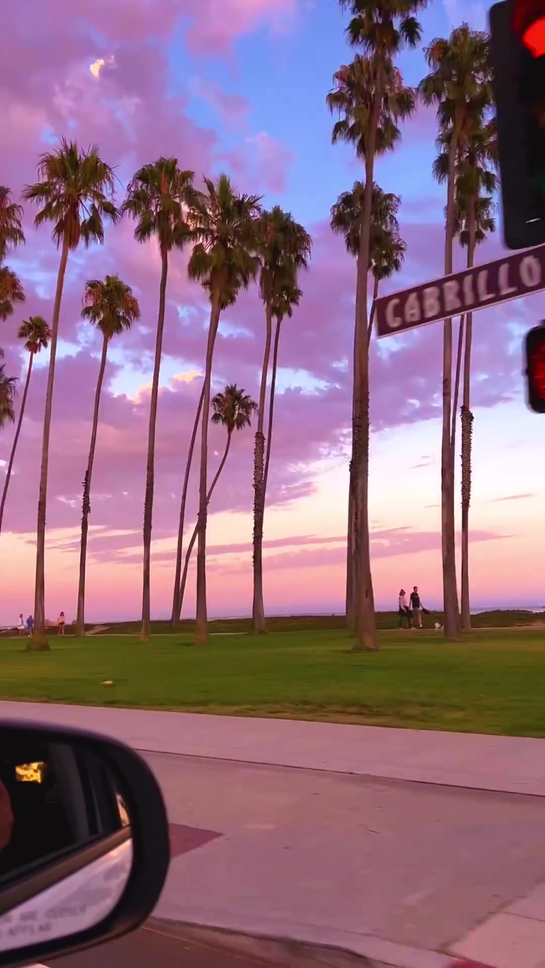 Palm Trees Silhouetted at Sunset