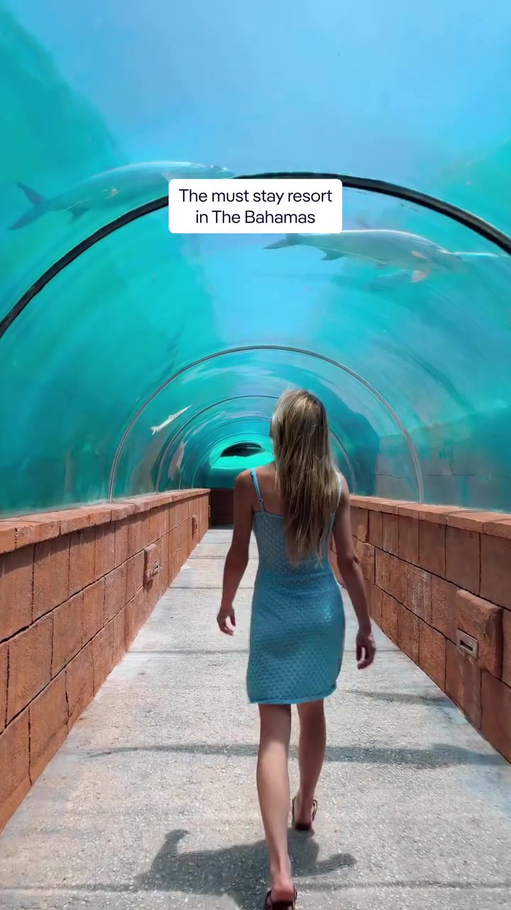 Bahamas Resort: Underwater Tunnel & Ocean Views