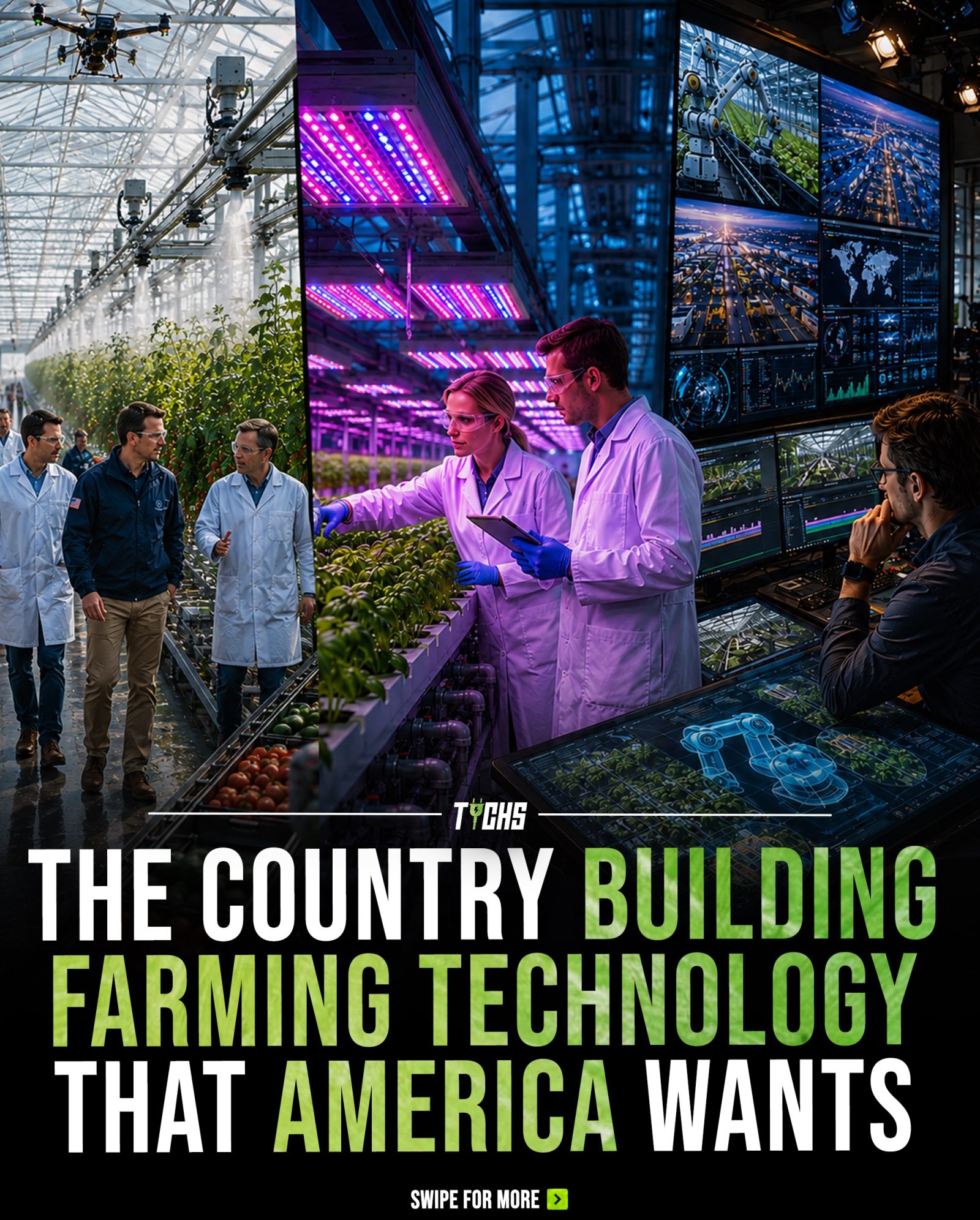 How Dutch AI & Automation Revolutionize Vertical Farming