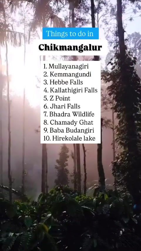 The Top 10 Experiences Chikmangalur Has to Offer