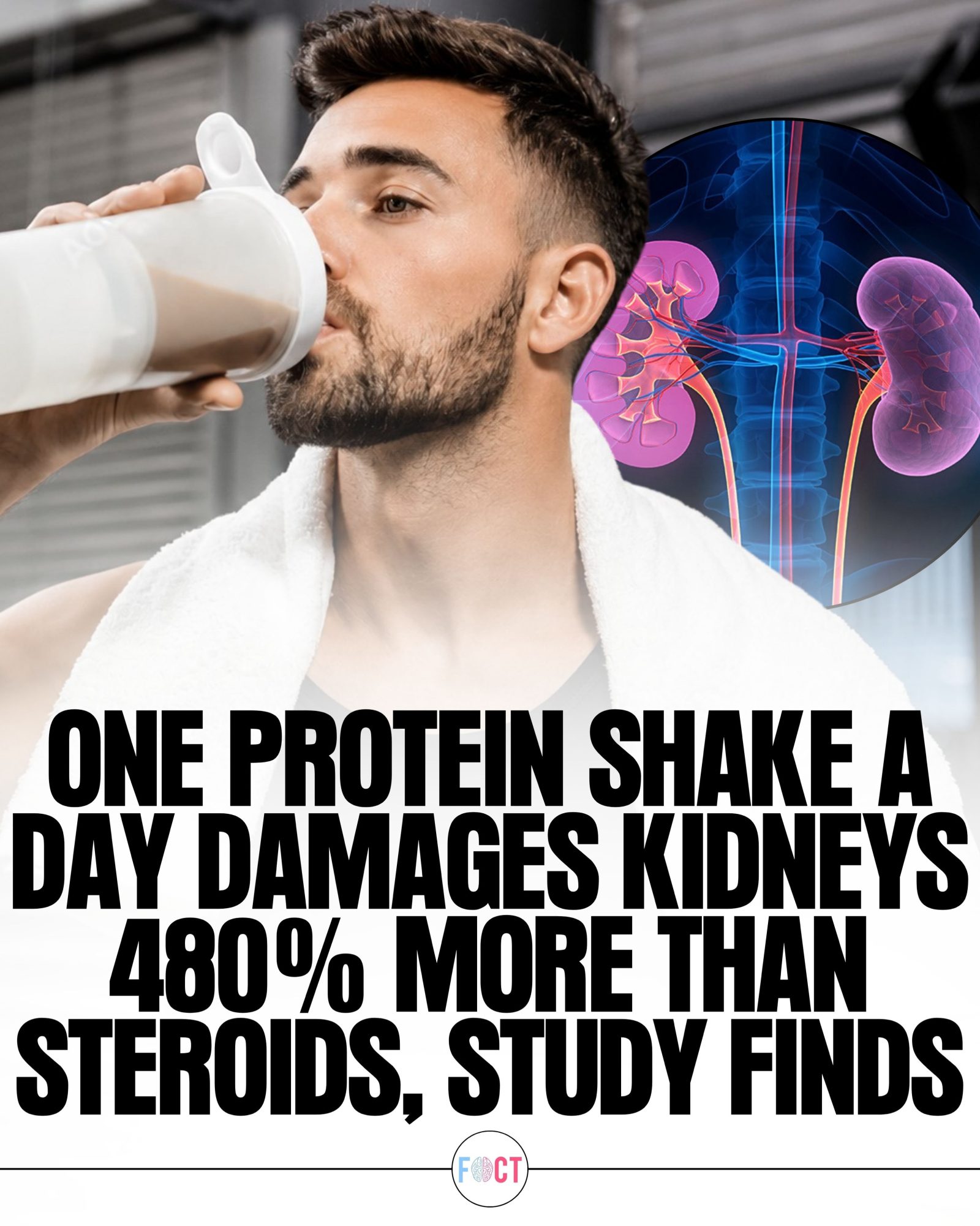 Protein Shakes: The Truth About Kidney Health Risks